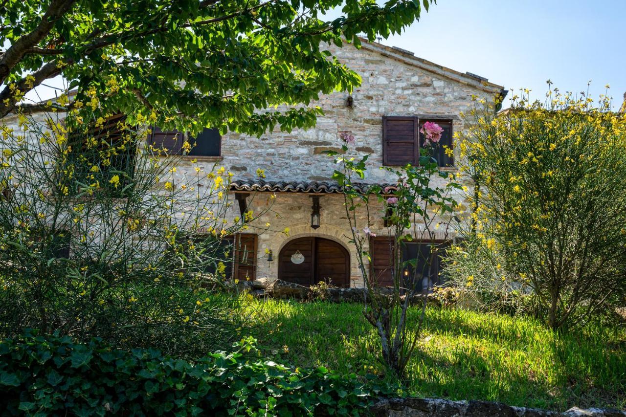 Villa Rustica Le Piagge Sassoferrato Esterno foto