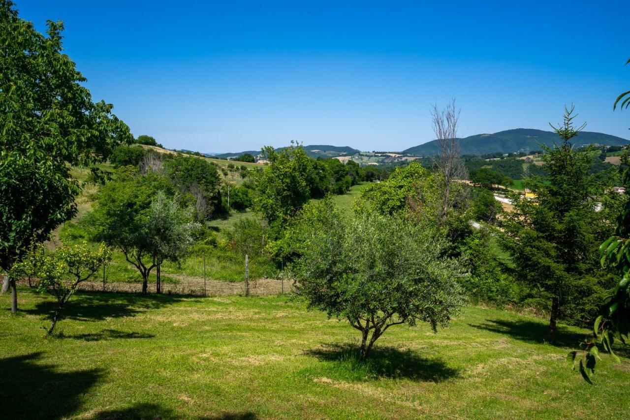Villa Rustica Le Piagge Sassoferrato Esterno foto