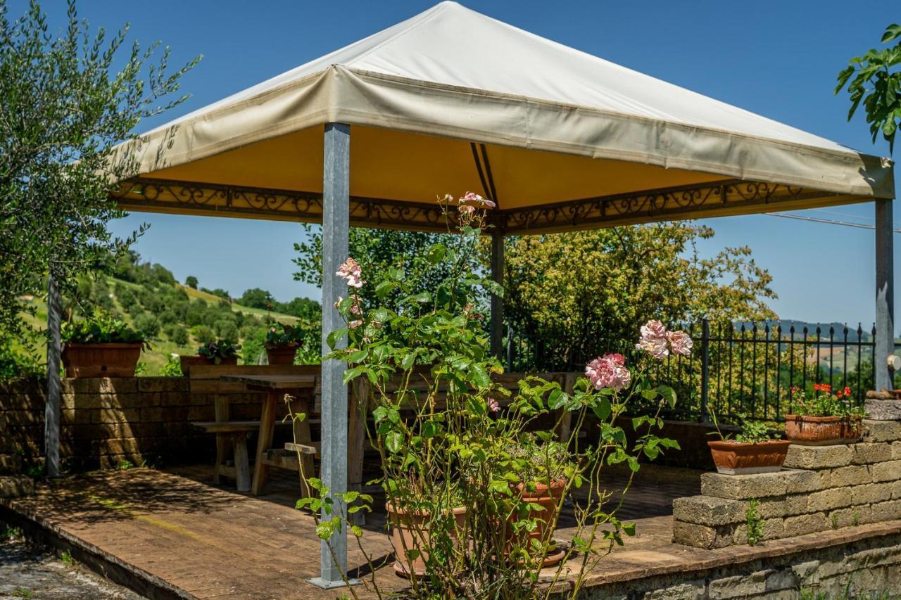 Villa Rustica Le Piagge Sassoferrato Esterno foto